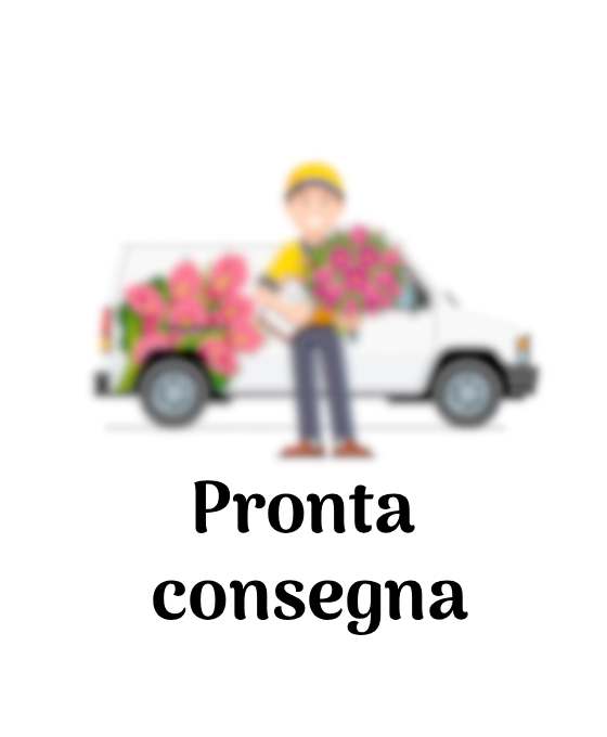 Pronta Consegna